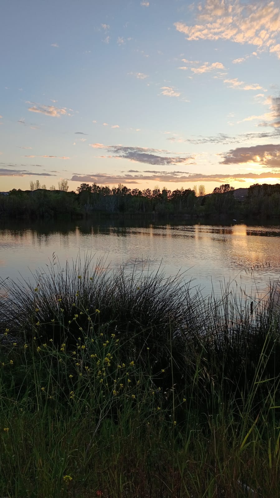 <strong>Perquè triar-me?</strong>