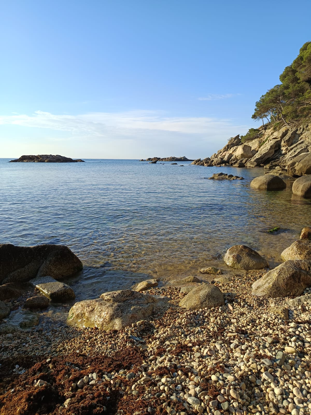 <strong>Formacions</strong>